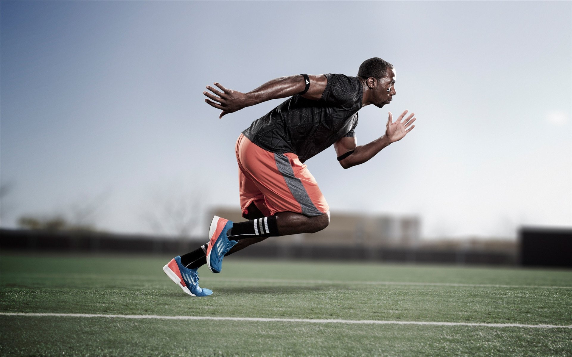 球迷协会组织万人观赛活动反响热烈，球迷协会组织万人观赛活动反响热烈怎么写